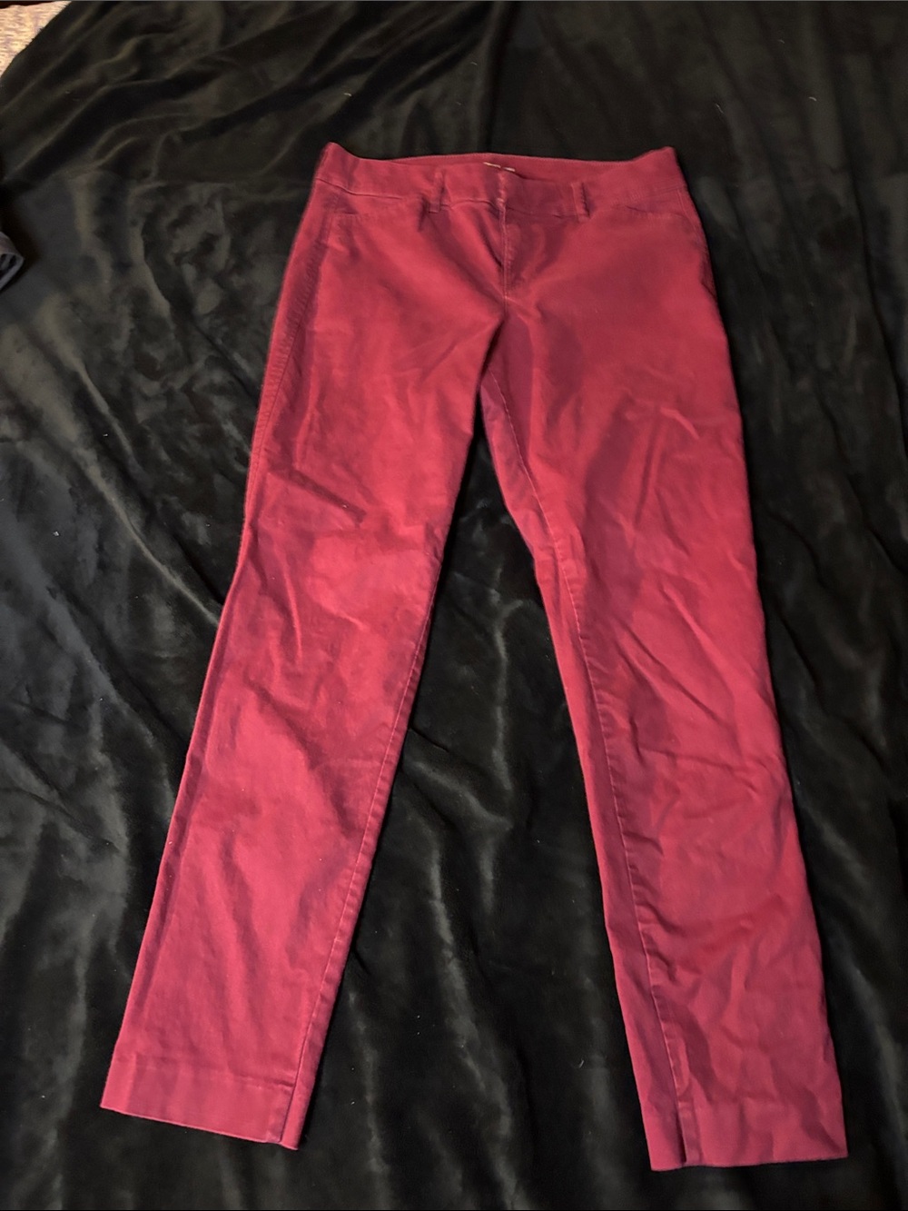 Women’s Slim Ponte Pants in Burgundy